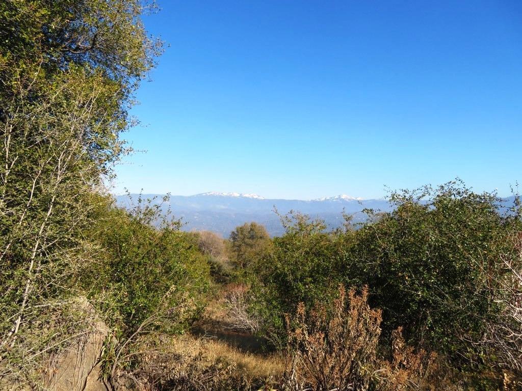 0-77.75 AC Highway 41 - Photo 1