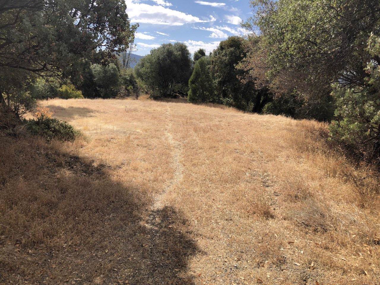 40970 Jean Road - Photo 1