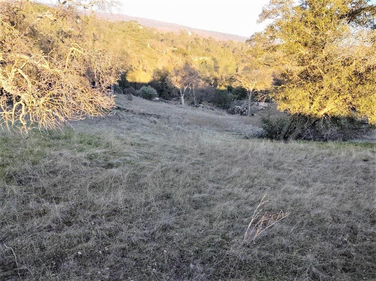 0-Lot 2229 Yosemite Springs Parkway - Photo 1