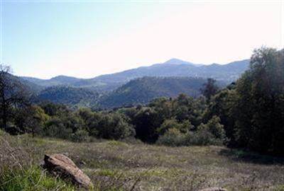 0 Bryson Ln. Parcel #4 - Photo 1