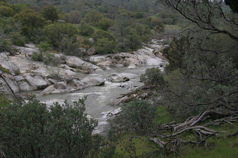 0 65 Acres Polk Ranch Road - Photo 1