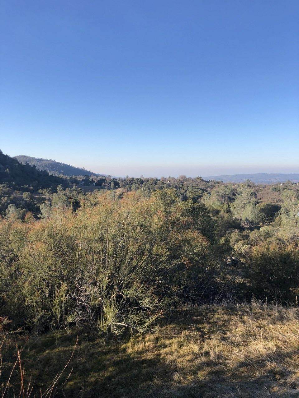 0-3.26 AC Douglas Trail - Photo 1