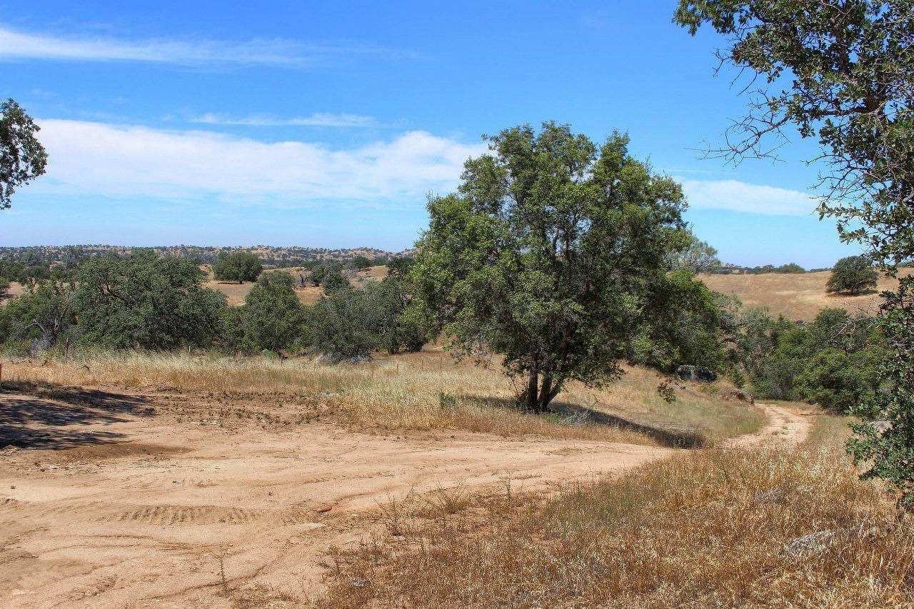0-39.58 AC Road 607 - Photo 1