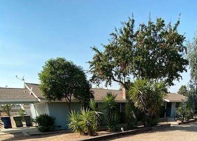 2167 Cornelia Avenue - Photo 1