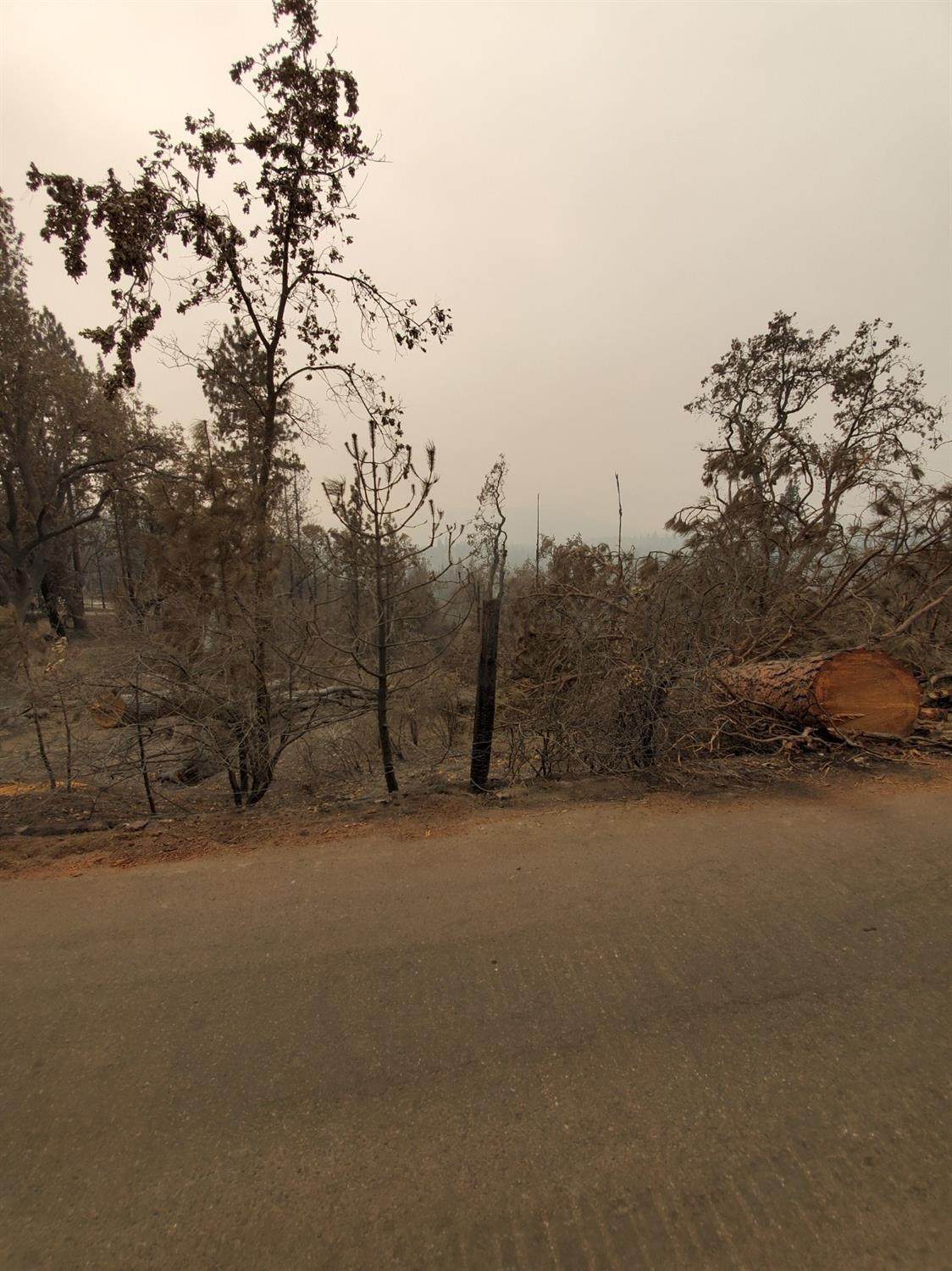 35185 Peterson Road - Photo 1
