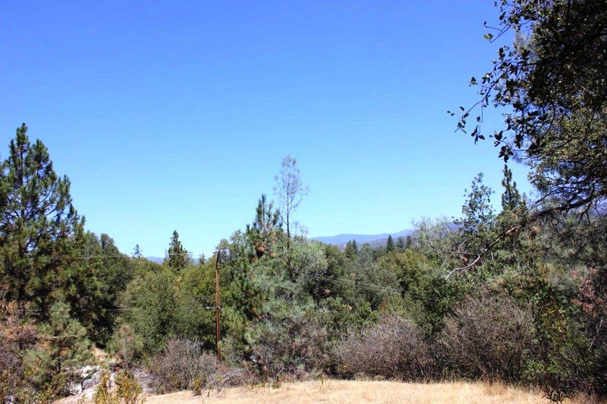 0-3.31 AC Meadowwood Road - Photo 1