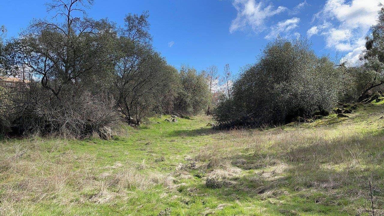 0 Yosemite Springs - Photo 1