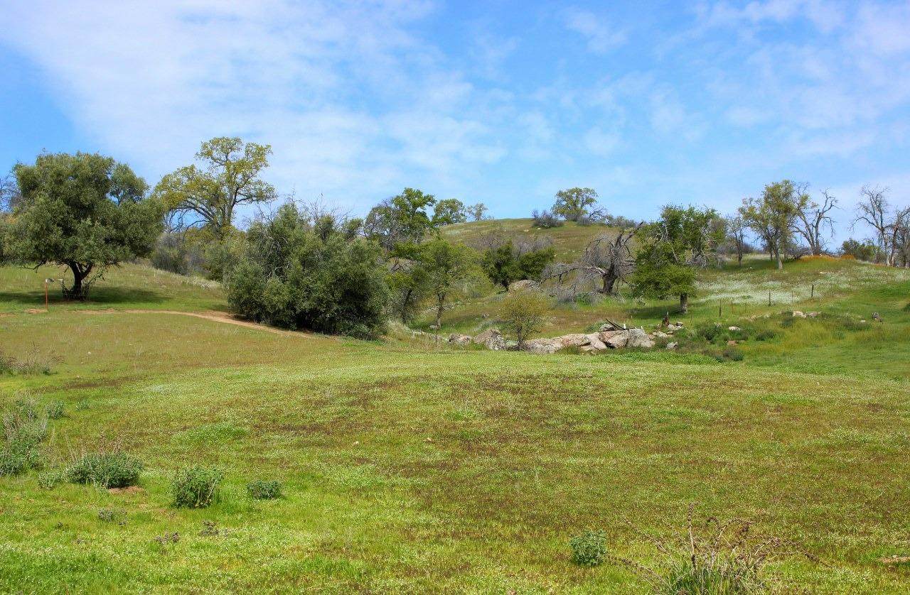 0-71 AC Road 600 - Photo 1