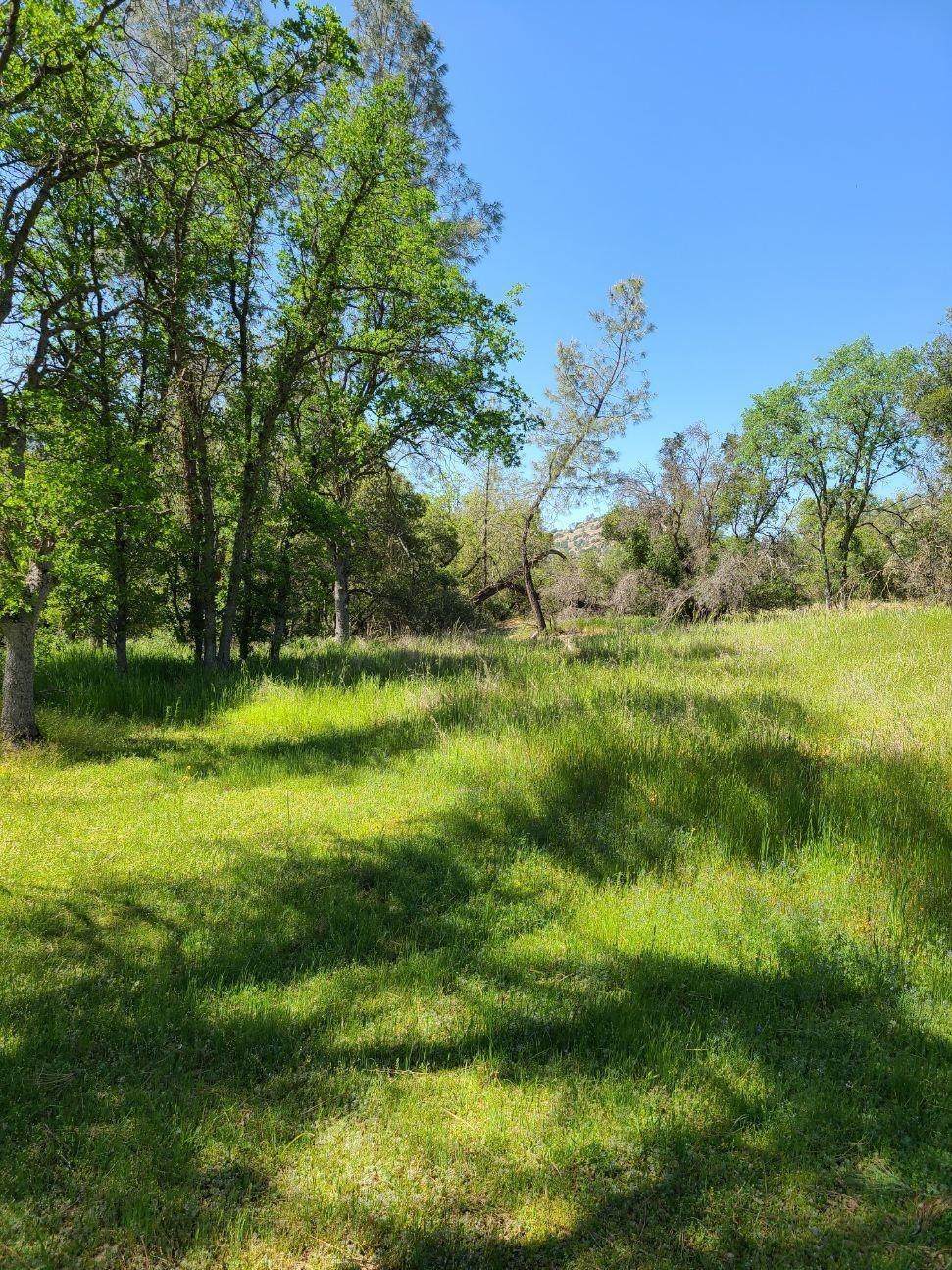 0 Auberry Road - Photo 1
