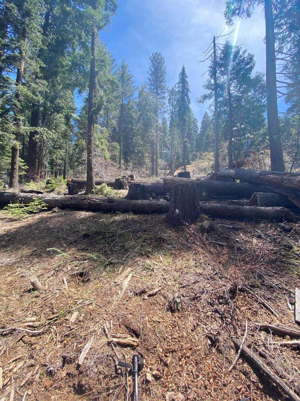 7410 Yosemite Park Way - Photo 1