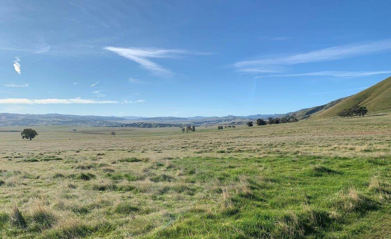 58333 Little Panoche Road - Photo 1