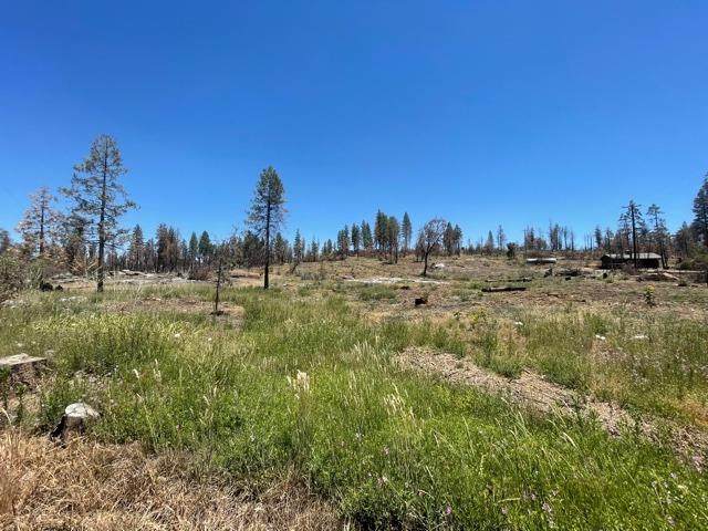 0 Pinecone Lane - Photo 1