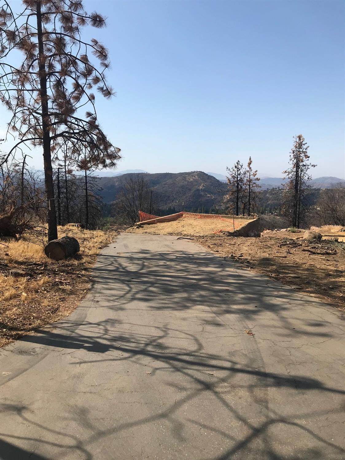 45168 Auberry Road - Photo 1