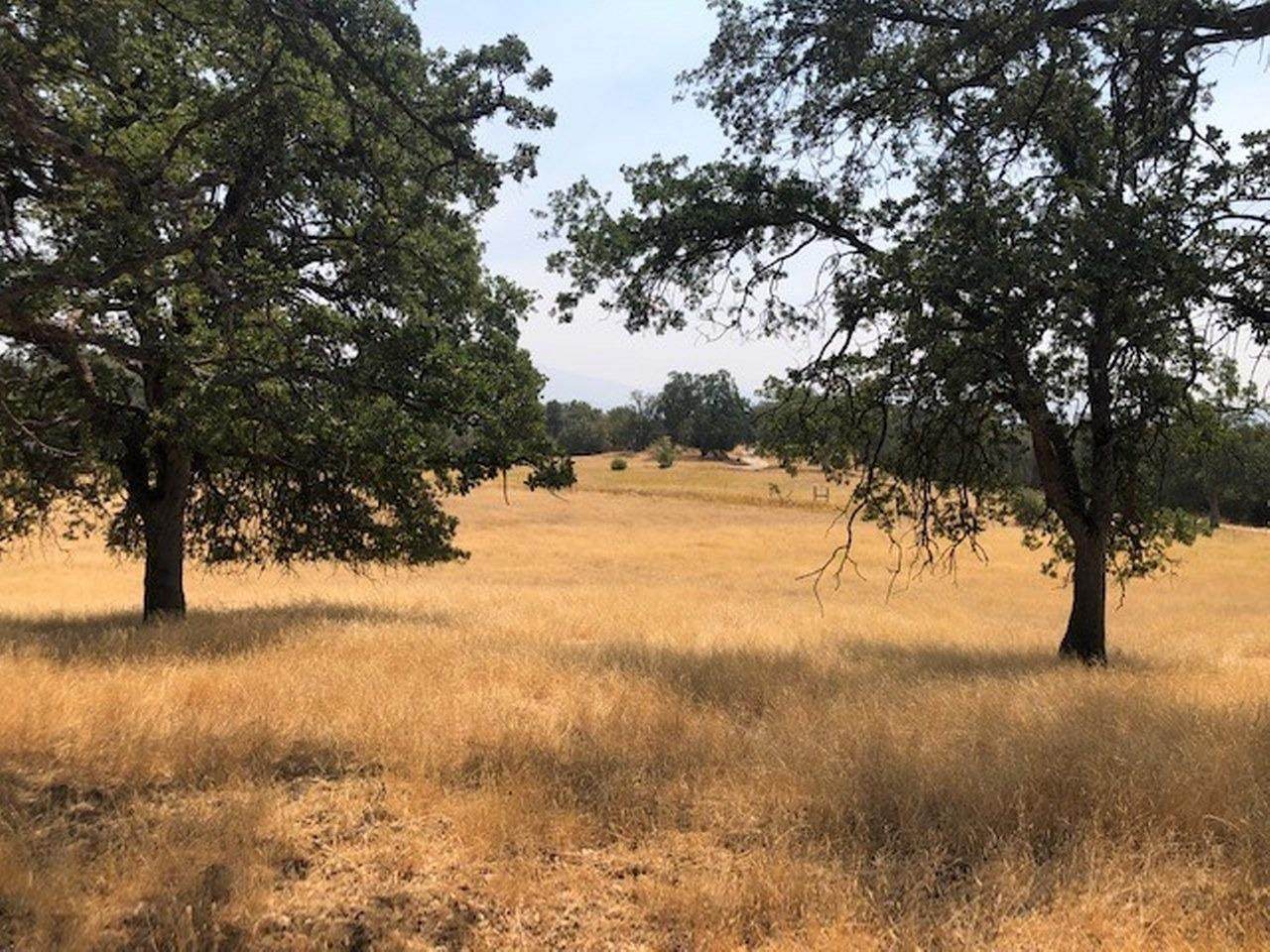 0-4.52 AC Quail Hollow Court - Photo 1