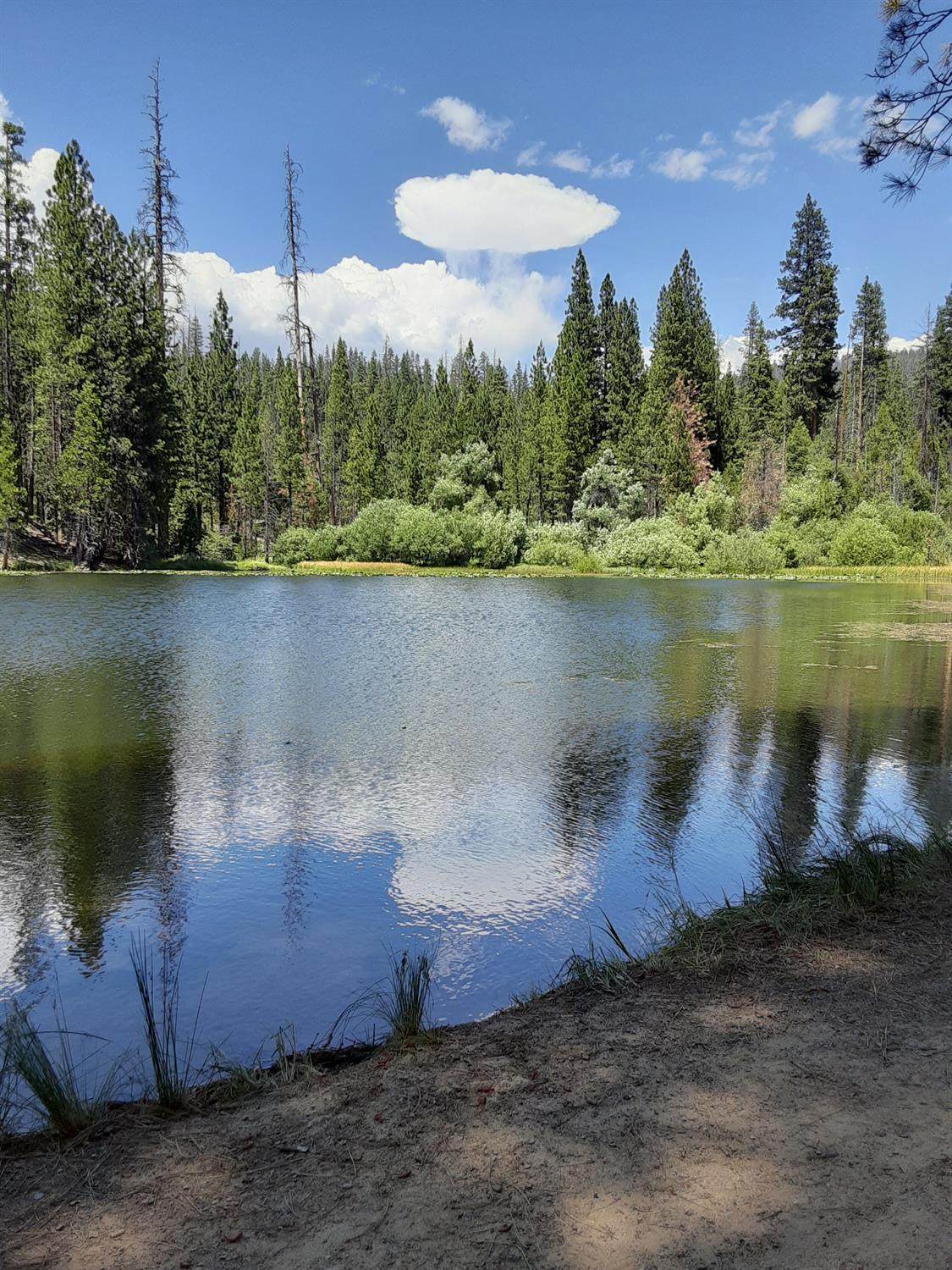 0 Tamarack Trail - Photo 1