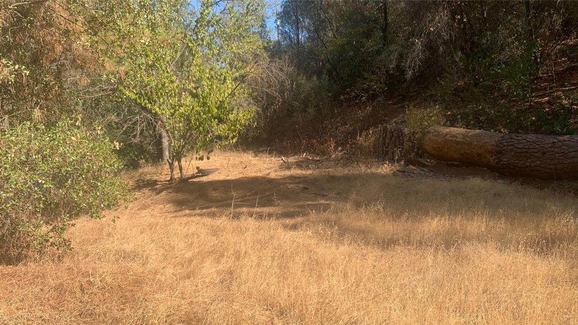 0 Miller Road - Photo 1