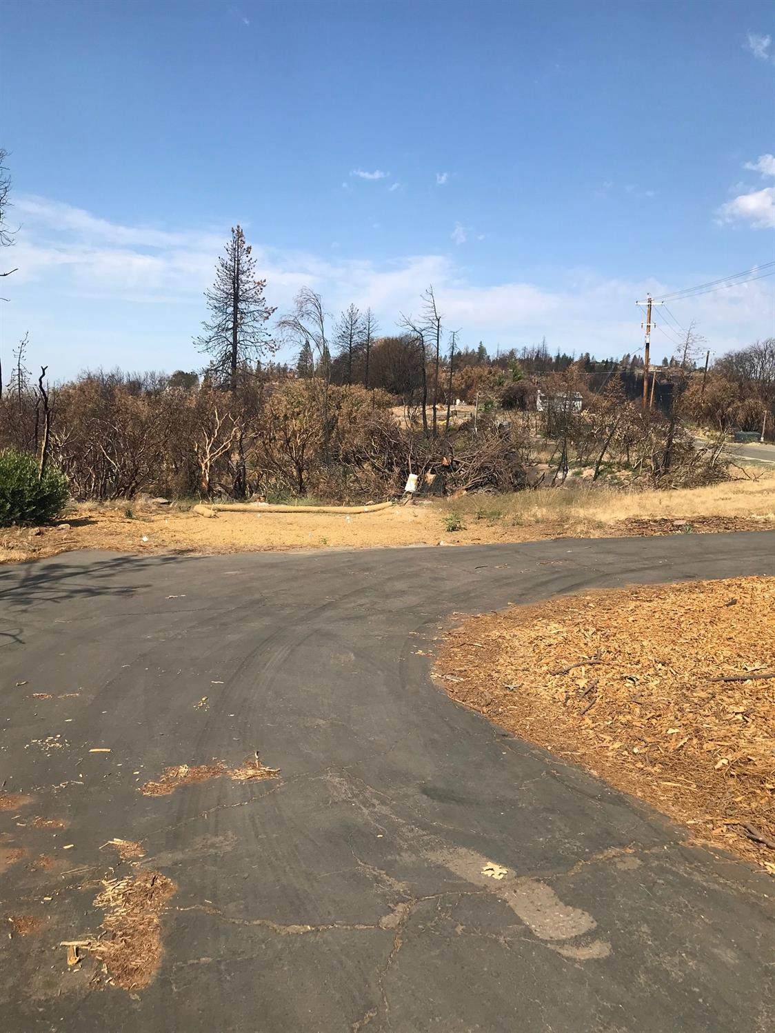 45168 Auberry Road - Photo 1