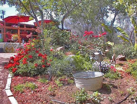 39231 Squaw Valley Road - Photo 1
