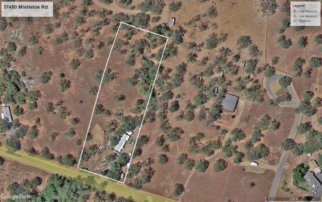 37450 Mistletoe Road - Photo 1