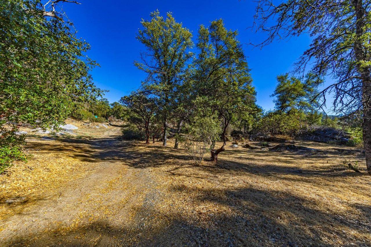 4200 Silver Lane Road - Photo 1