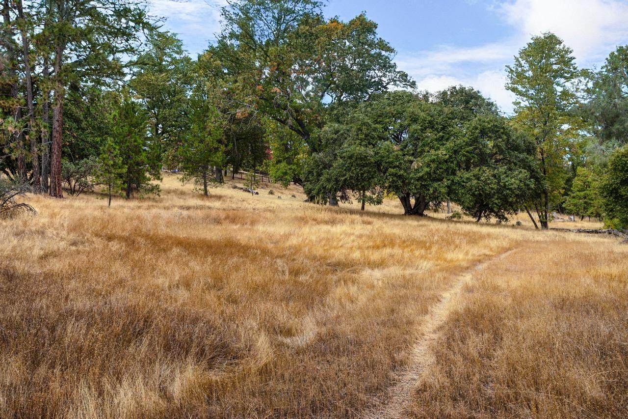 4959 Sierra Pines Drive - Photo 1