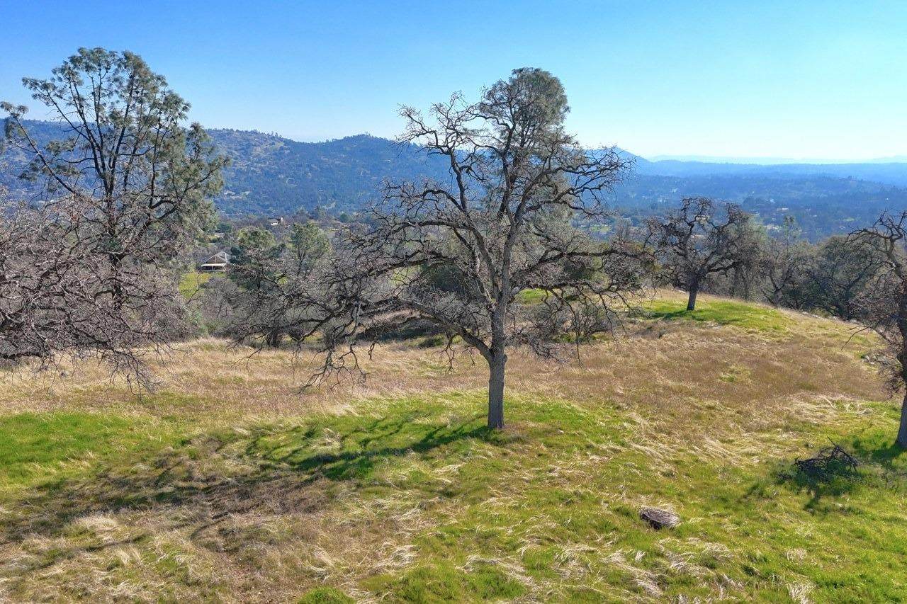 0-3.79 AC Lilley Mountain Drive - Photo 1