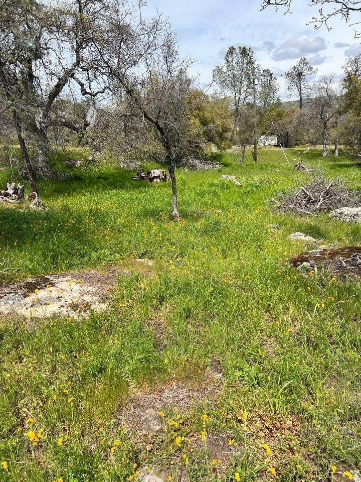 0-Lot 895 John Muir Drive - Photo 1