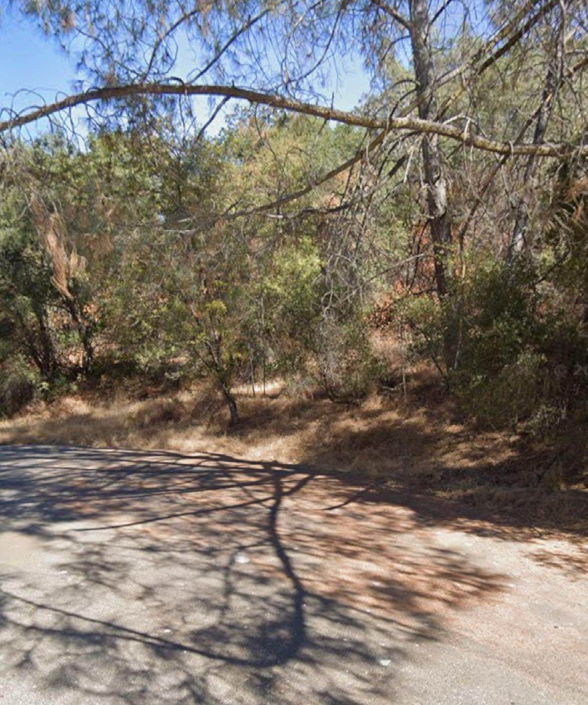 29130 Cassandra Road - Photo 1