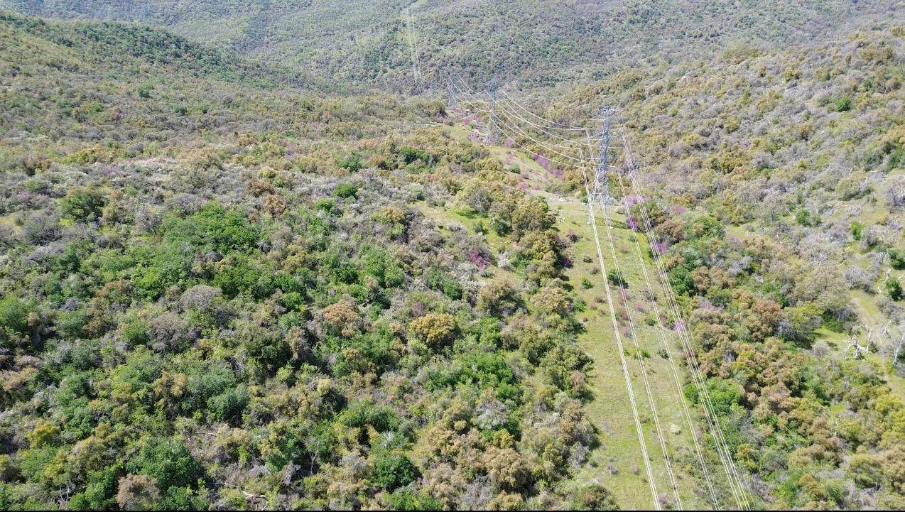 0-rd Lower Rush Creek Road - Photo 1