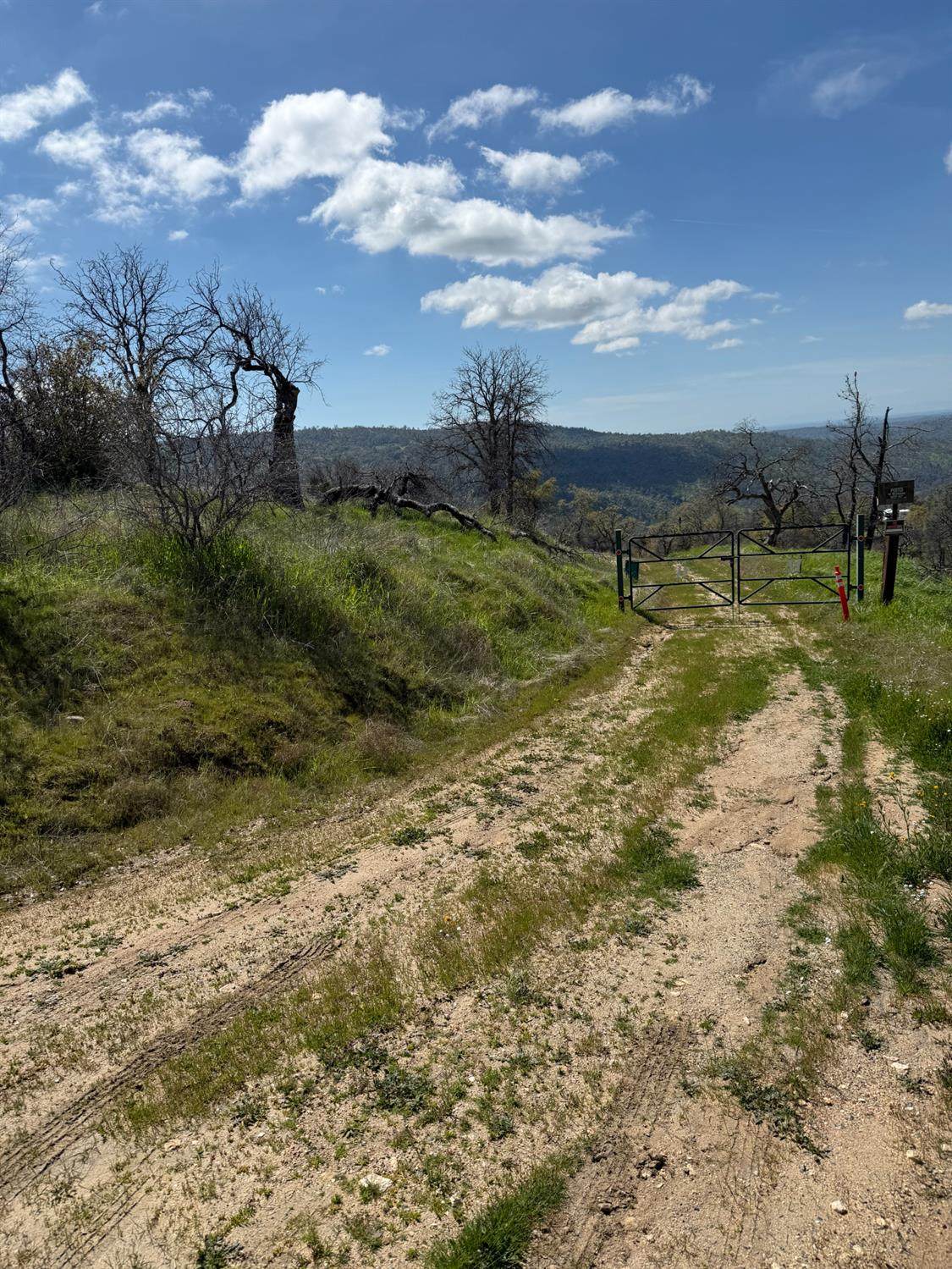 38914 Road 810 - Photo 1