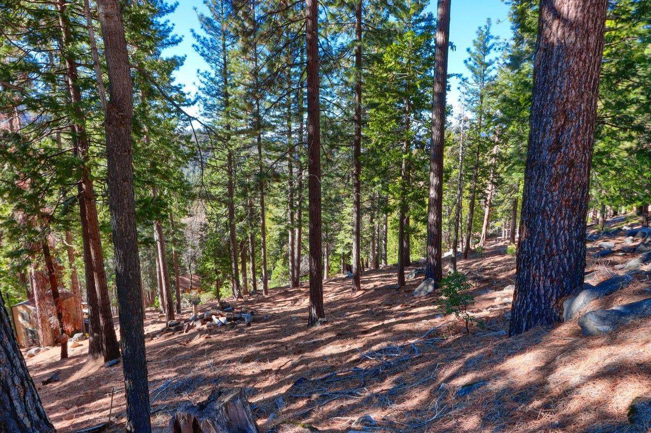 7349-7473 Yosemite Park Way - Photo 1