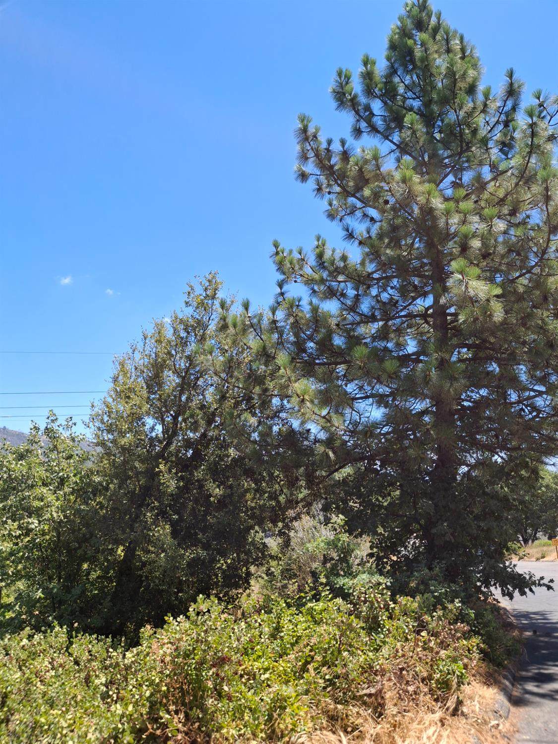 https://bt-photos.global.ssl.fastly.net/fresno/orig_boomver_1_634295-2.jpg