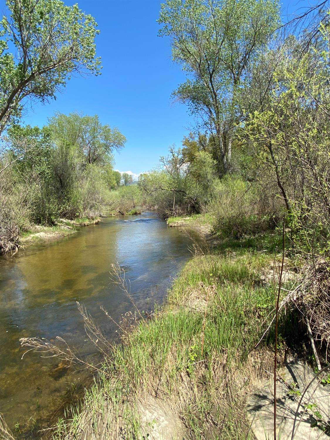 31560 Road 400 - Photo 1