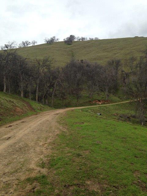 0 Buckeye Saddle #16 Road - Photo 1