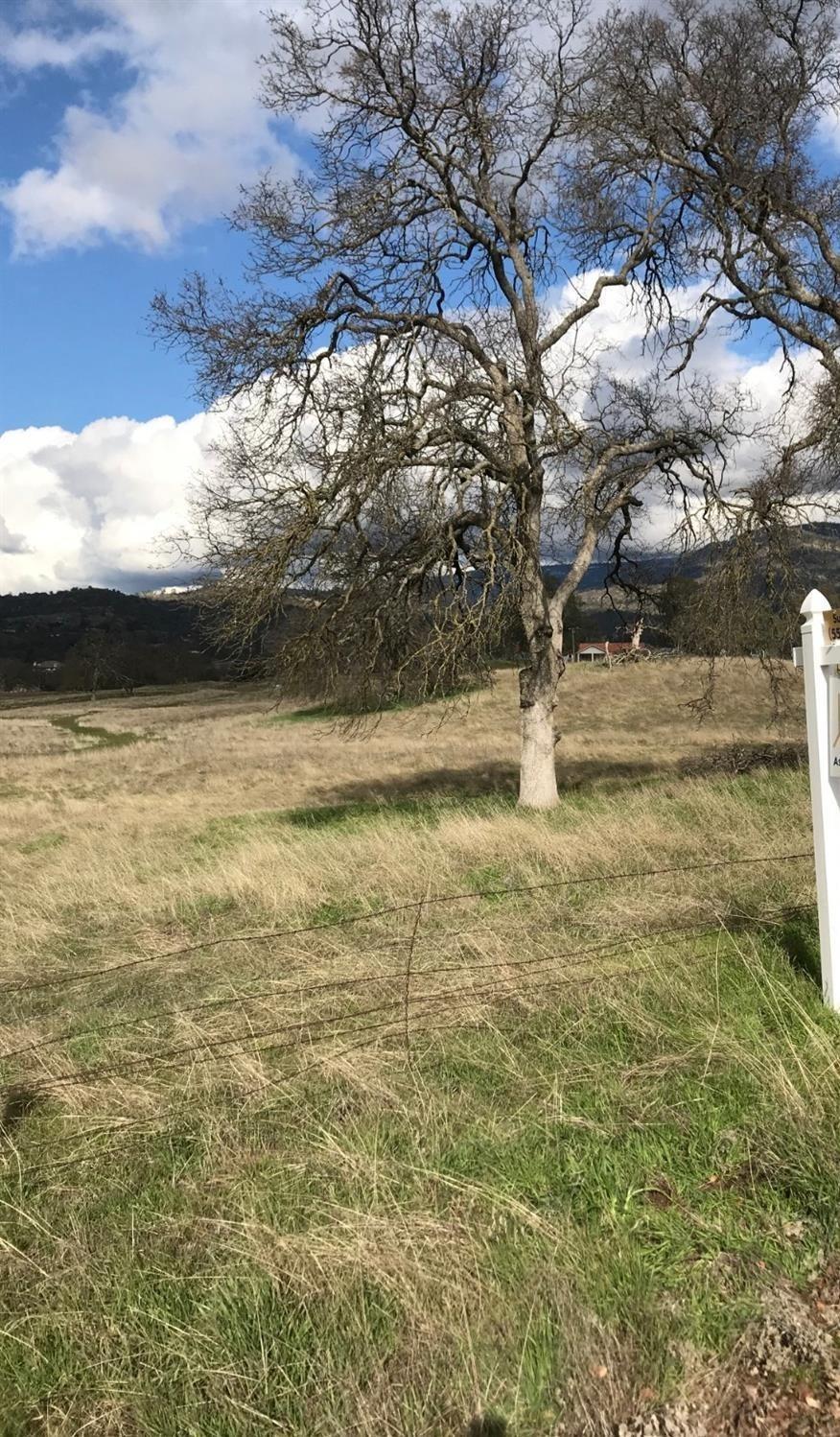 15192 Millerton Road - Photo 1