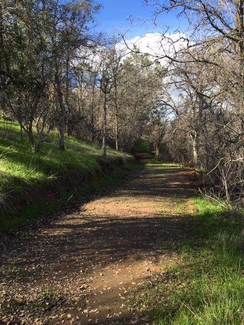 28297 Burrough Valley Road - Photo 1