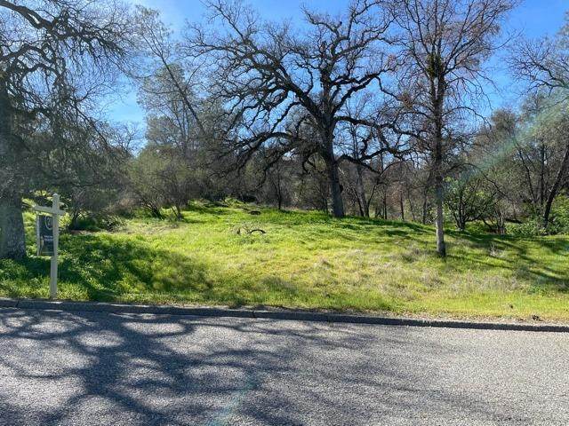 0 Lilley Mountain Drive - Photo 1