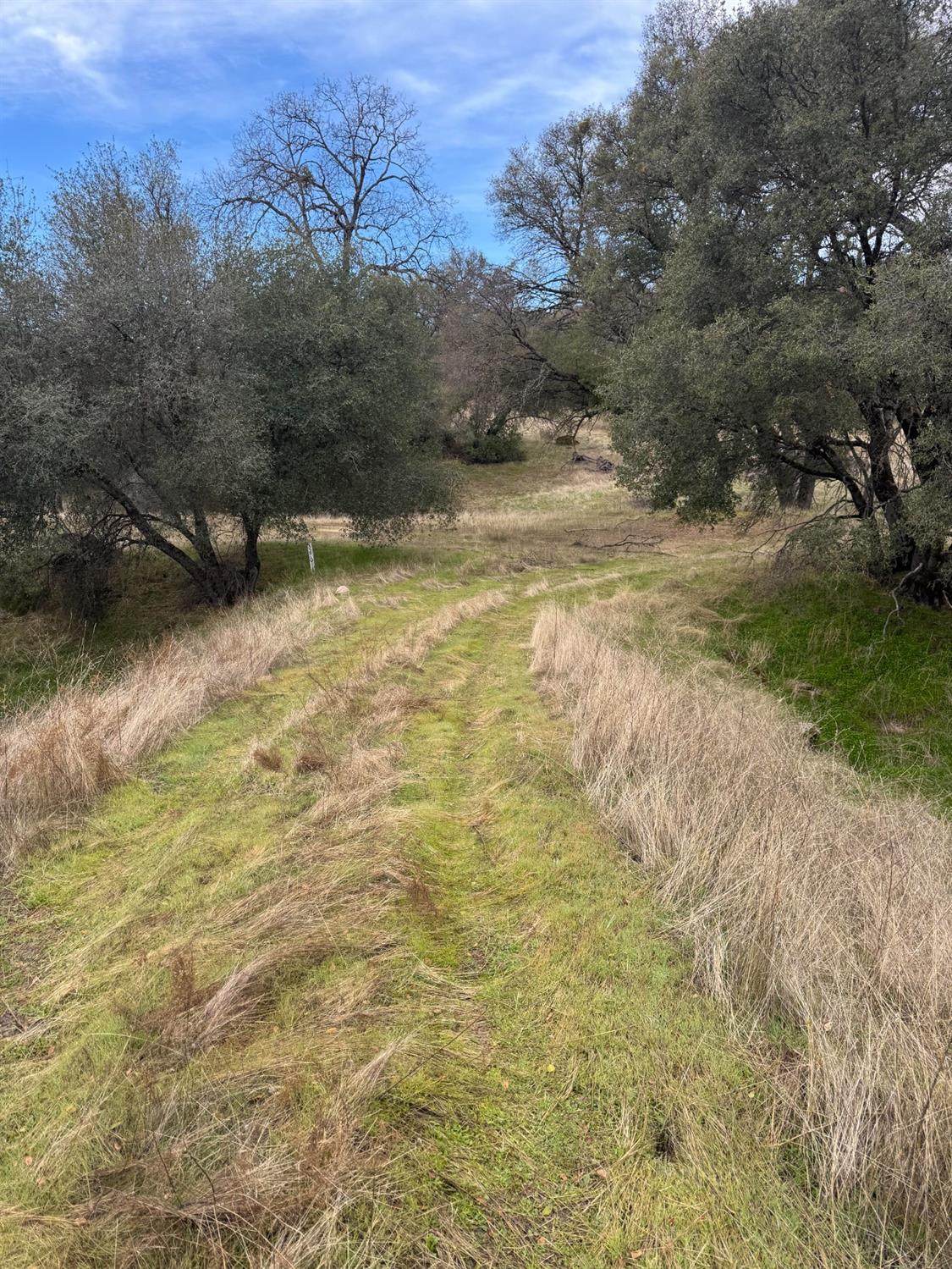 3270 Wildcat Road - Photo 1