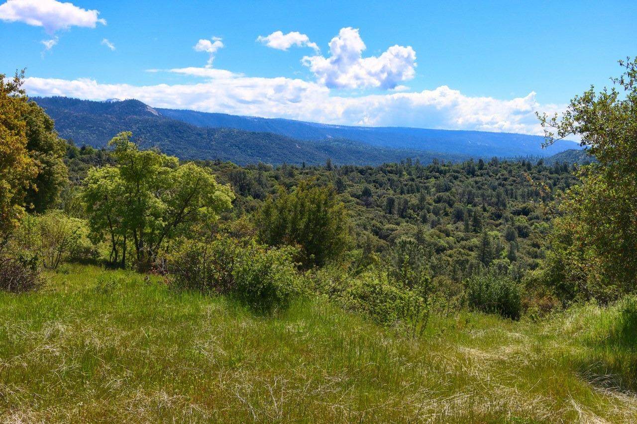 0-155.3 AC Old Yosemite Road - Photo 1