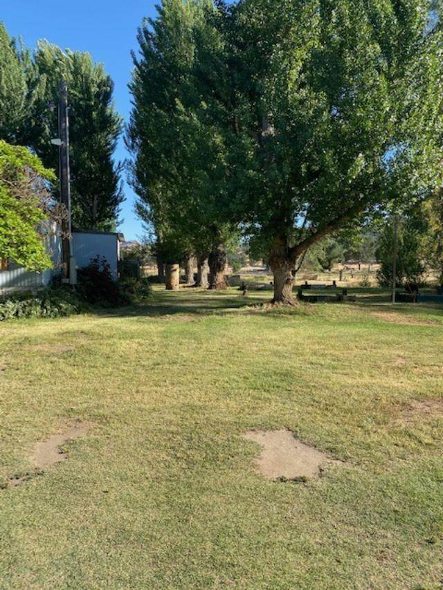 37667 Shadybrook Lane - Photo 1