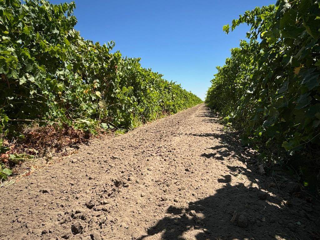 7615 Road 23 - Photo 1