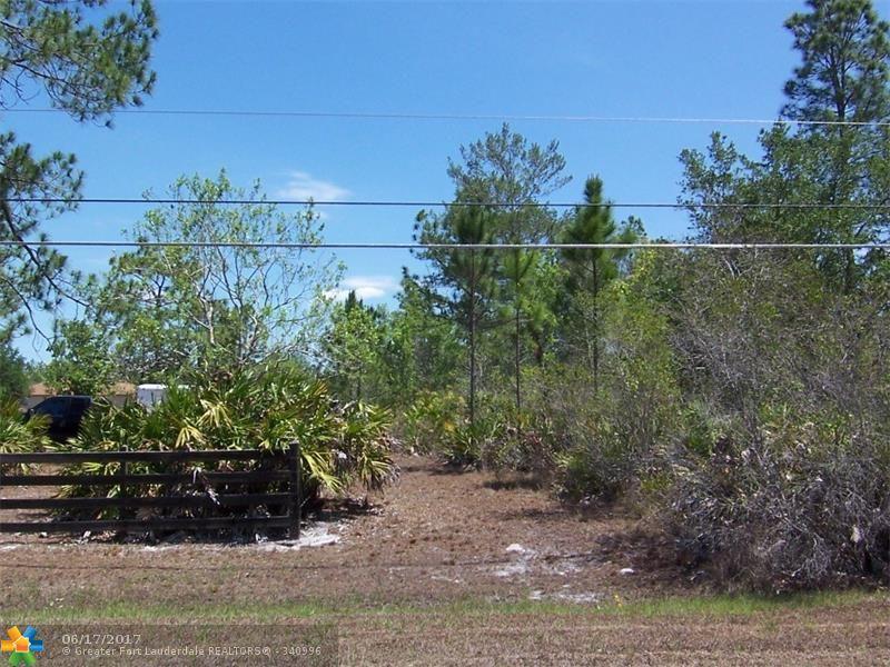 18551 Robertson Street - Photo 1