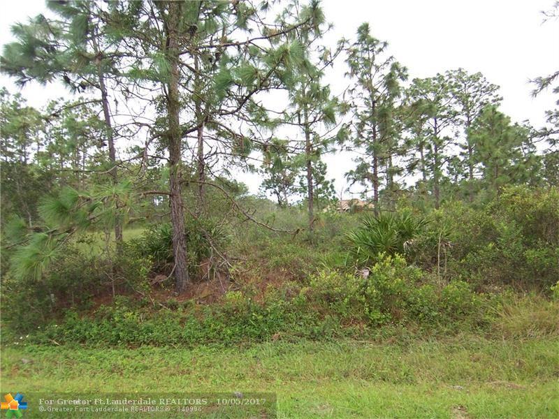 20421 Quinlan Street - Photo 1