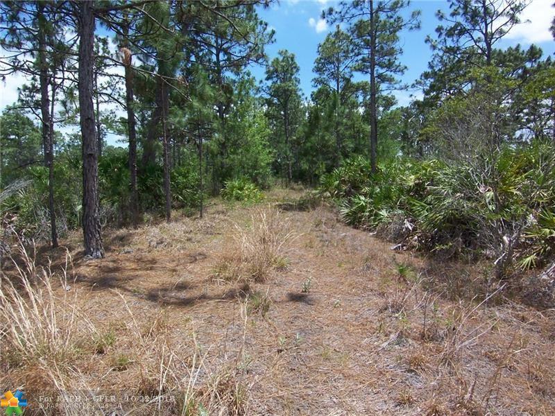 20006 Sheldon Street - Photo 1
