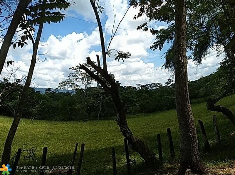 Rancho Francisco Leo Nuevo Guerrero, Ocosingo Chiapas - Photo 1