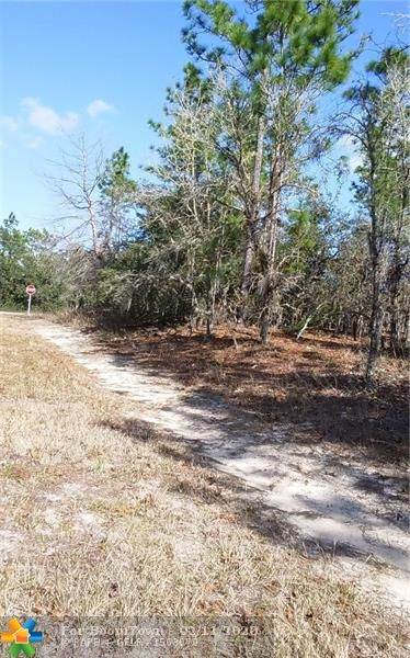 10167 Conrad - Photo 1