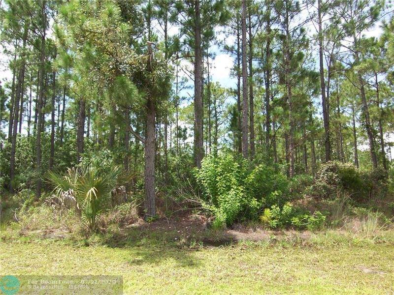 6790 Lantana Drive - Photo 1