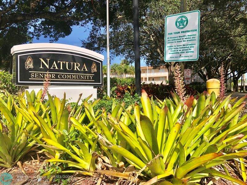 3508 Natura Blvd - Photo 1