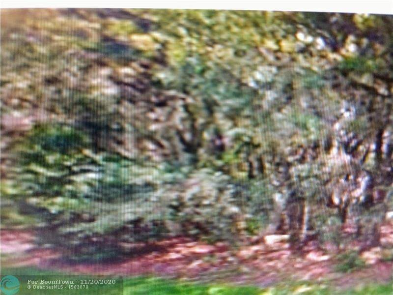 359 Liberty St - Photo 1