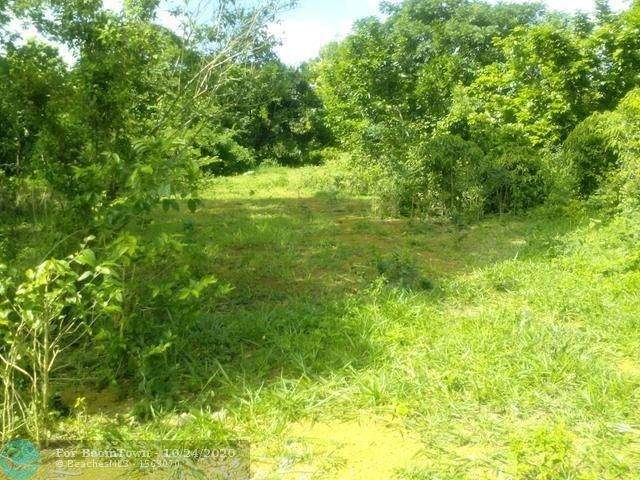 7 Ocho Rios Land - Photo 1